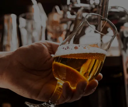 An Oasis in the Texas Desert-img3